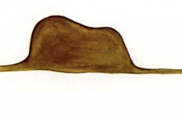 É Preciso Sensibilidade Para Diferenciar Jiboias Engolindo Elefantes, De Chapéus