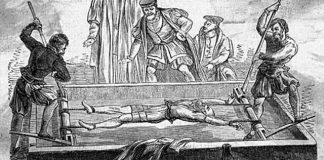 Erros e cegueiras do conhecimento responsáveis pelo despertar de Procusto