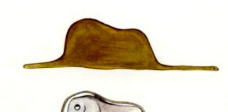 É Preciso Sensibilidade Para Diferenciar Jiboias Engolindo Elefantes, De Chapéus