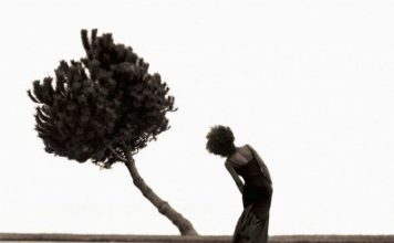 RESILIÊNCIA: LEVANTAR-SE TODA VEZ QUE A VIDA FERRA COM TUDO