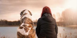 Têm pessoas que não querem amar, apenas saberem que não estão sozinhas.