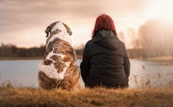 Têm pessoas que não querem amar, apenas saberem que não estão sozinhas.