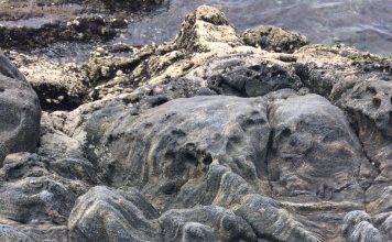 Desnudando preconceitos e afins