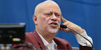 “Pense com a própria cabeça” por Felipe Pondé