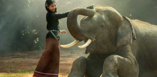 Almas bonitas são raras de se encontrar! Valorize.