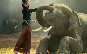 Almas bonitas são raras de se encontrar! Valorize.