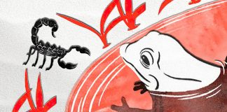 A fábula do sapo e o escorpião: Um ensinamento sobre a natureza de cada um.