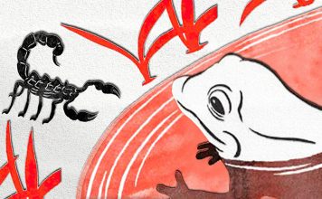 A fábula do sapo e o escorpião: Um ensinamento sobre a natureza de cada um.