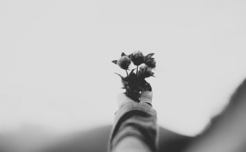 Baseado em fatos irreais ou as dores de uma geração