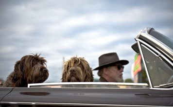 Aprenda a filtrar palavras, ações e pessoas