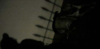 Lidando com frustrações