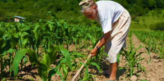 Tenha orgulho da sua mãe faxineira, do seu pai pedreiro…