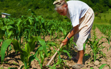 Tenha orgulho da sua mãe faxineira, do seu pai pedreiro…